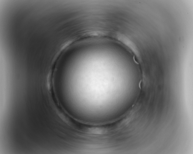 X0000096690105200802121240