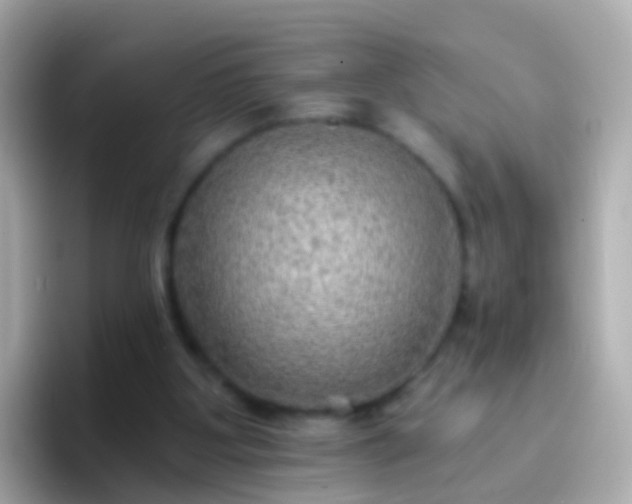 X0000096690107200802121240