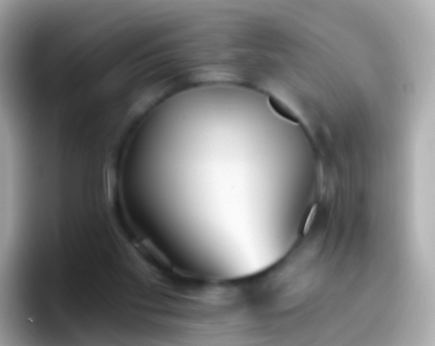 X0000096690109200802121240