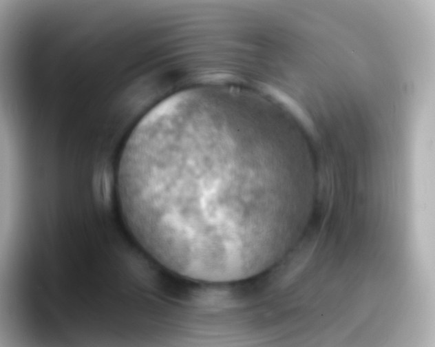 X0000096690110200802121240