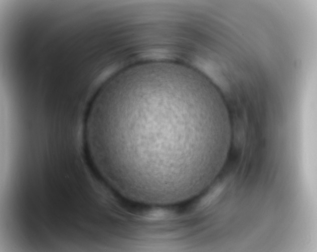 X0000096690111200802121240