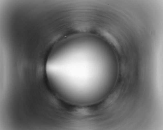 X0000096690113200802121240