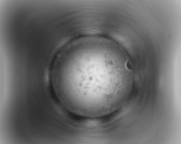 X0000096690115200802121240