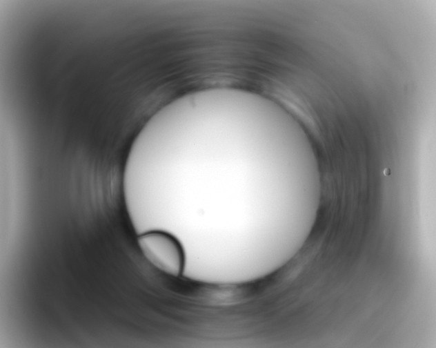 X0000096690118200802121240