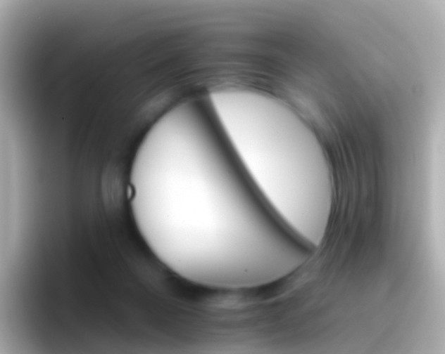 X0000096690120200802121240