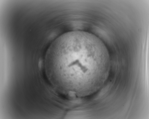 X0000096690123200802121240