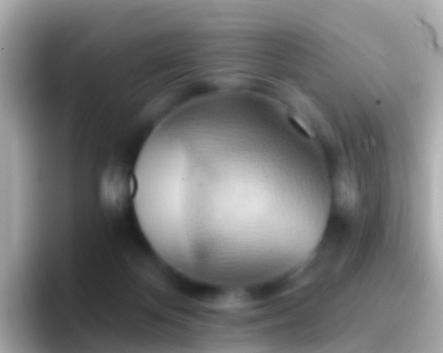 X0000096690124200802121240