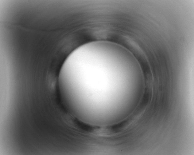 X0000096690125200802121240