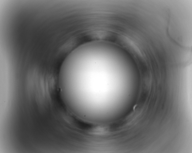 X0000096690126200802121240