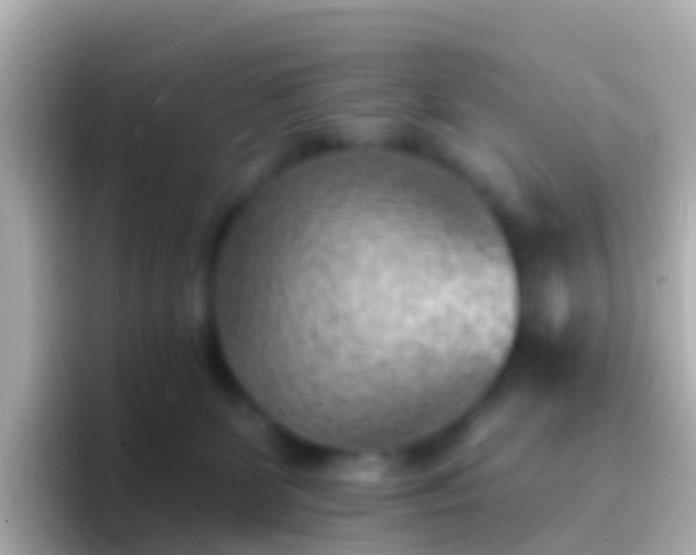 X0000096690131200802121240