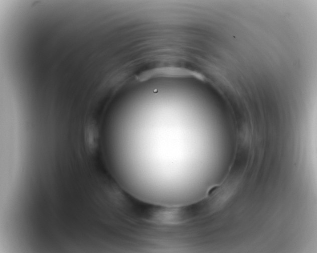 X0000096690138200802121240