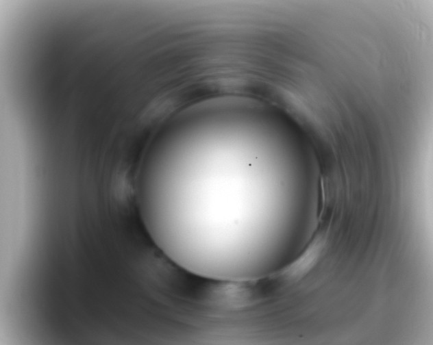 X0000096690140200802121240