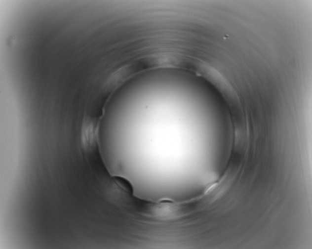 X0000096690142200802121240