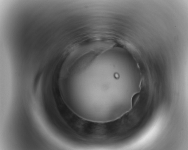 X0000096690143200802121240