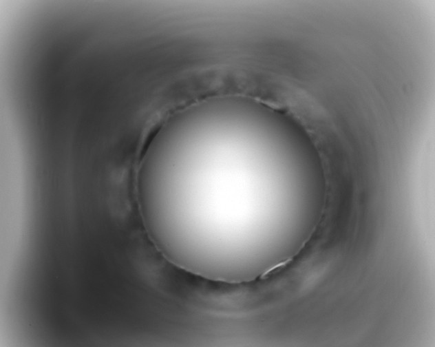 X0000096690144200802121240