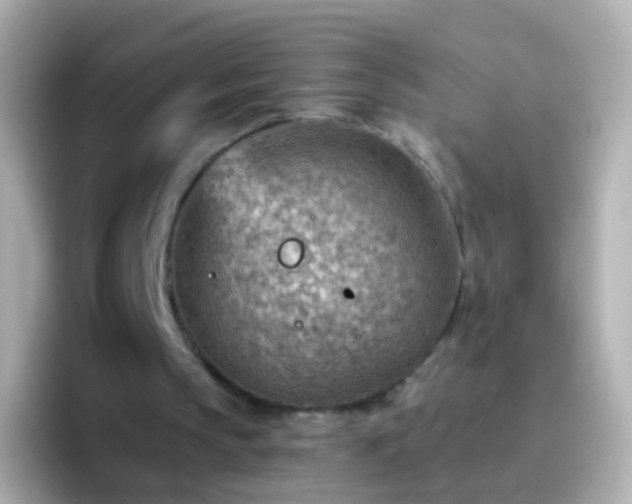 X0000096690145200802121239