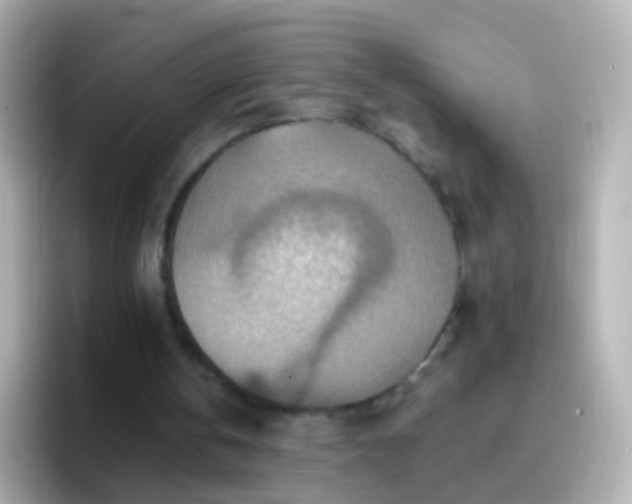 X0000096690146200802121239