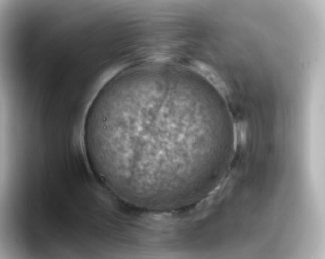 X0000096690147200802121239