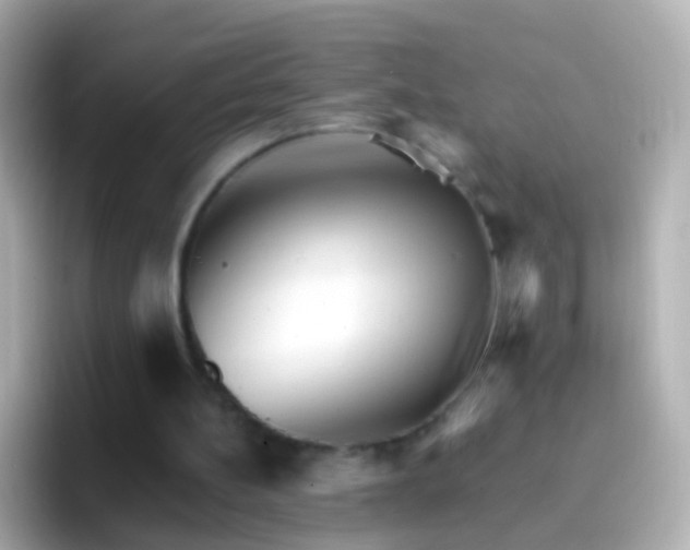 X0000096690148200802121239