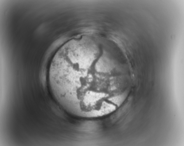 X0000096690149200802121239