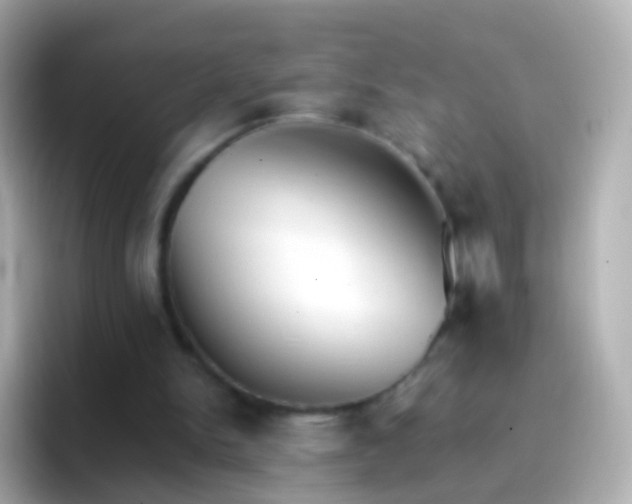 X0000096690150200802121239