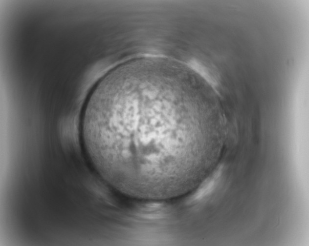 X0000096690151200802121239