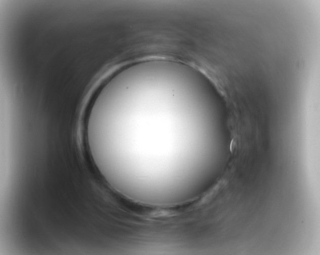 X0000096690152200802121239