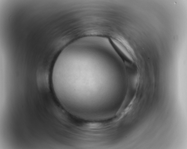 X0000096690154200802121239