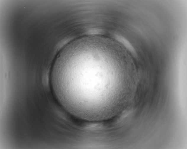 X0000096690155200802121239