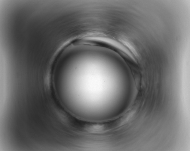 X0000096690156200802121239