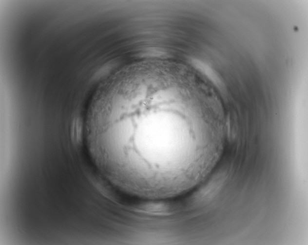 X0000096690157200802121239