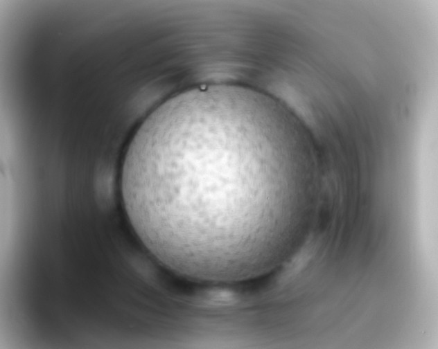 X0000096690159200802121239