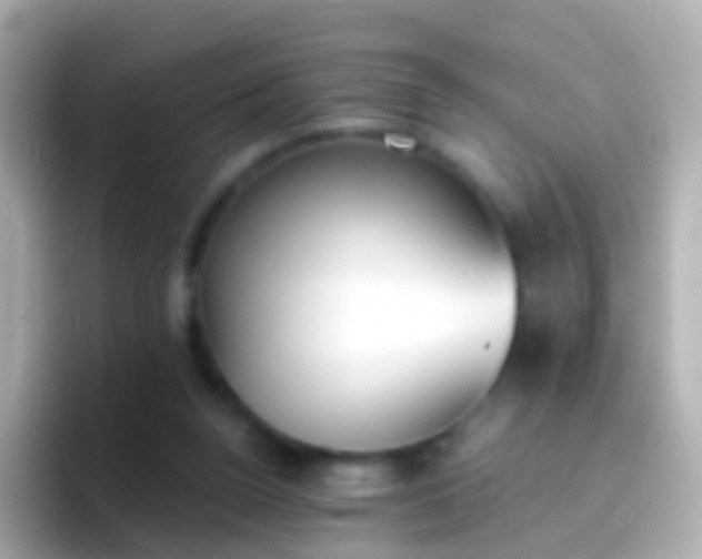 X0000096690160200802121239