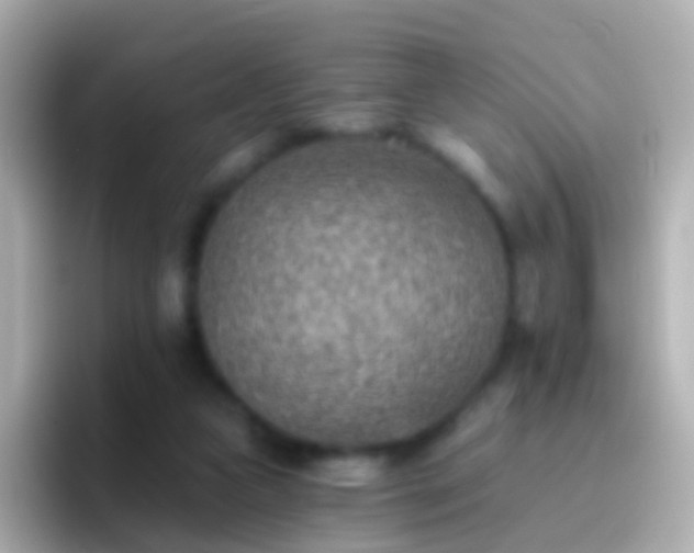 X0000096690161200802121239