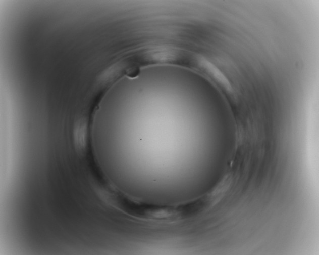 X0000096690163200802121239