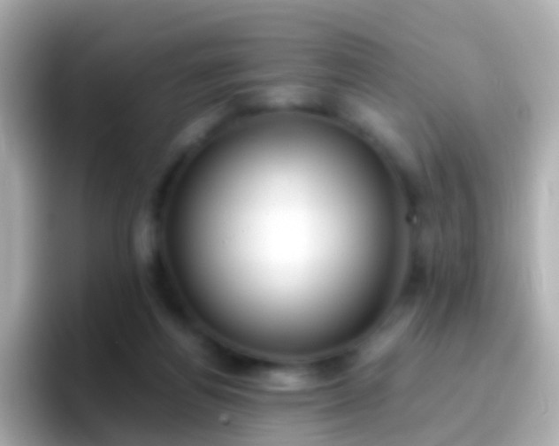 X0000096690164200802121239