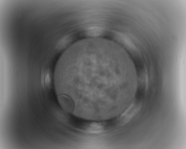 X0000096690166200802121239