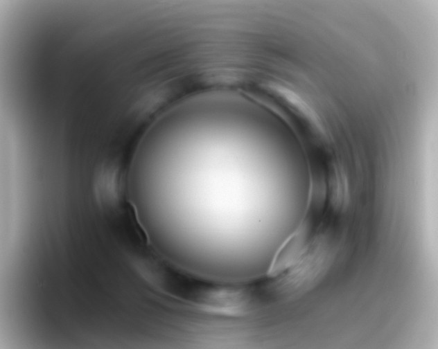 X0000096690168200802121240