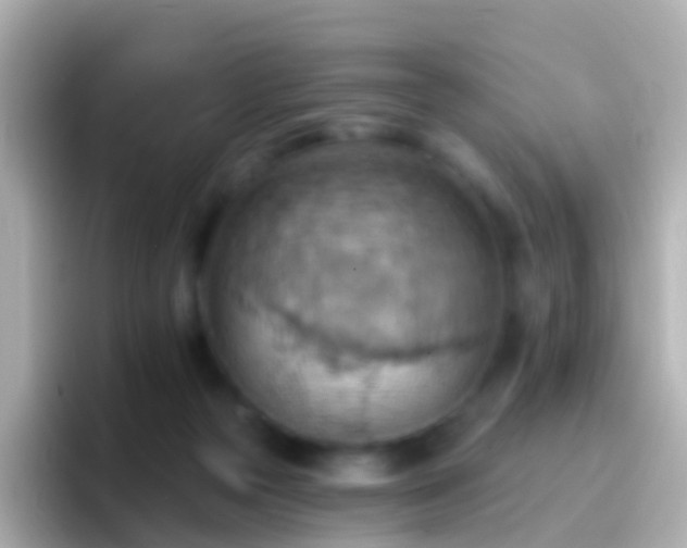 X0000096690169200802121240