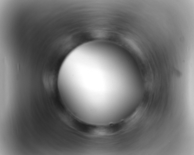 X0000096690171200802121240