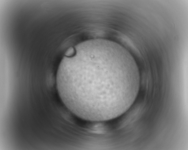 X0000096690173200802121240