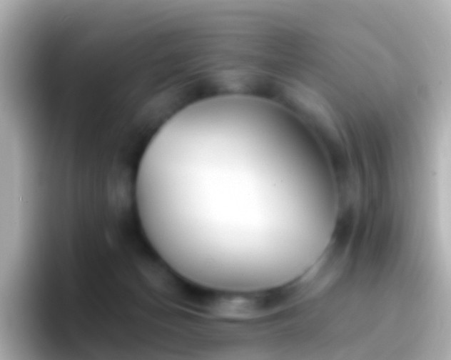 X0000096690174200802121240