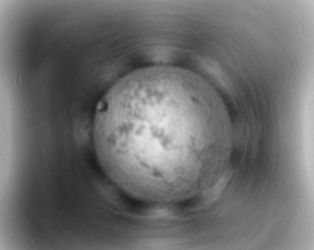 X0000096690175200802121240