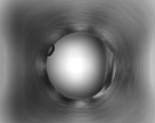 X0000096690176200802121240