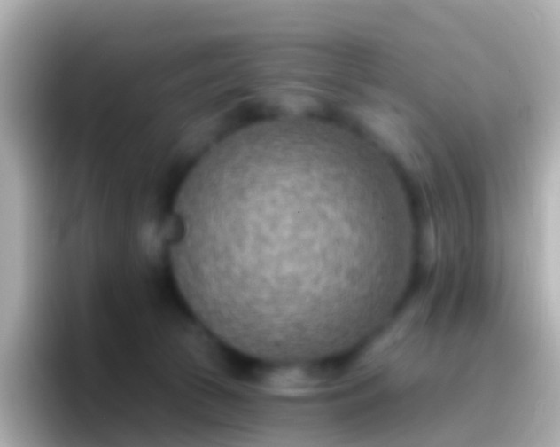 X0000096690177200802121240