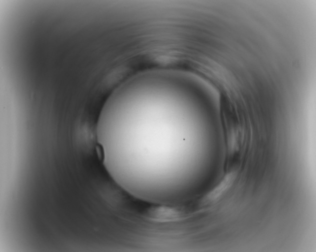 X0000096690180200802121240