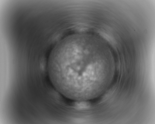 X0000096690181200802121240