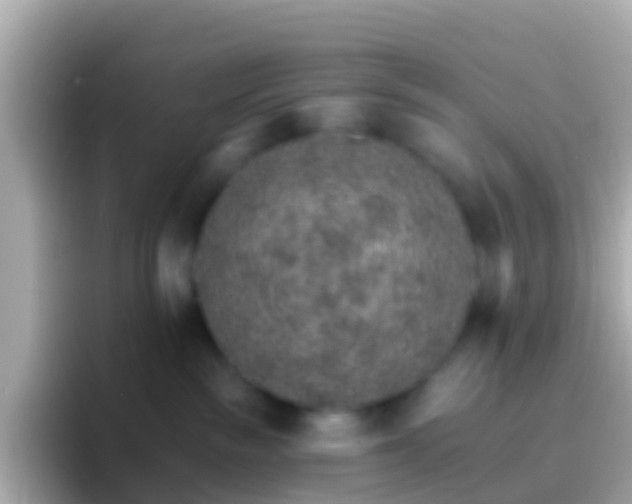 X0000096690189200802121240