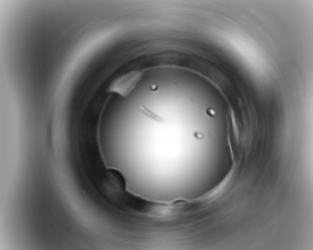 X0000096690190200802121240