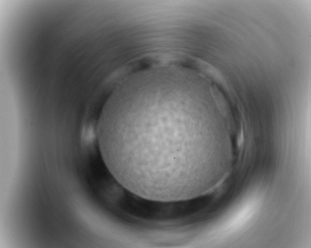 X0000096690191200802121240